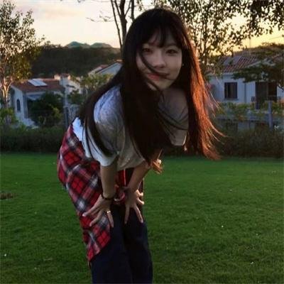 龙年档案